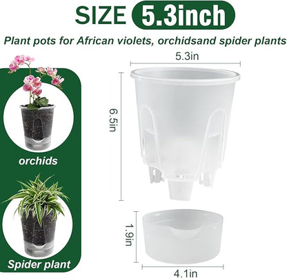 Cdd's Path Upgraded 5-Pack 6 Inch Naked Root Planter Self Watering Pots Set, Plant Pots with Holes for Indoor/Outdoor Plants with Watering Hole/Reservoir and Air Pipes, Clear