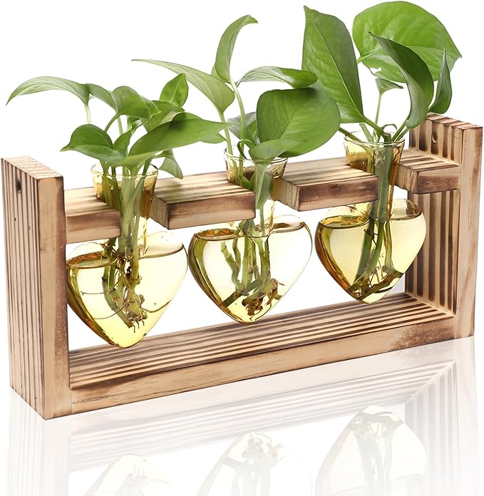 Terrarium Set Heart Shaped Glass with Wood Stand, Gold, 3 Vases