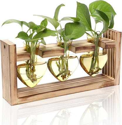 Terrarium Set Heart Shaped Glass with Wood Stand, Gold, 3 Vases