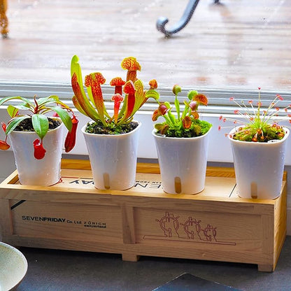 3" Self Watering Pots,20 Sets Self Watering Planter Pots for Indoor Plants with Water Level Indicator and Multiple Vents,Self Watering Planters,Self Watering Plant Pot for House Plants,Flowers,Herbs