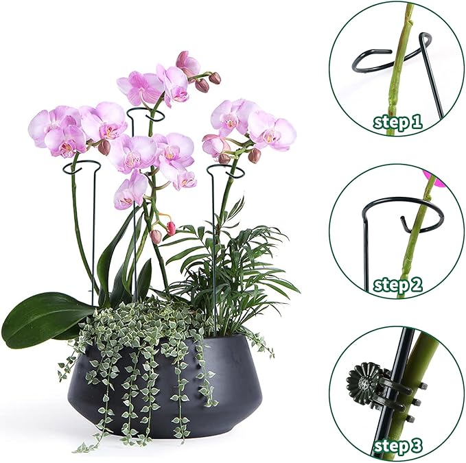 6 Pack Plant Support Stakes with 24 Pcs Plant Clips,Single Stem Support Stake Plant Cage Support Ring for Garden Flowers Rose Tomatoes Peony Lily Rose Herbs Vegetable (16 Inch)