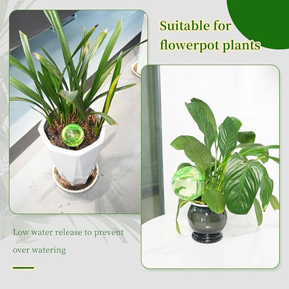 6pcs Large Plant Self Watering Globes, 17.5 oz Plastic Water Bulbs Top Fill, Plant Watering Devices System Slow Release Terracotta, Water Spikes Stakes for Indoor(6pack)