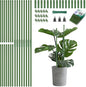 Breeze Touch Garden Trellis for Climbing Plants Outdoor, 30 Pack 17" Tomato Stakes Set with Clips & Connectors,Garden Plant Stakes, Tomato Frame, Cucumber Trellis for Raised Bed & Potted Plants