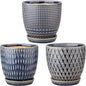 Oairse 4 inches Ceramic Planter Pots 3 Set of Small Round Flower Pots with Drainage Hole and Ceramic Tray for Succulents Cactus Indoor Outdoor Garden Home Windowsill