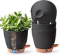 T4U 6 Inch Self Watering Pots for Indoor Plants - Mess-Free Bottom Watering Planter for Herbs/Pothos/Succulent Plants, Indoor Outdoor Use (Black, 4 Pack)