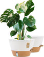 12-Inch Self Watering Planters with Drainage Holes, Large Flower Pots for Indoor Outdoor Plants, Garden Pots White 2 Pack
