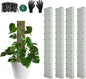 60"/40"/24" Metal Moss Pole, D Shape Sphagnum Moss Pole, Moss Poles for Climbing Plants, Monstera, Indoor Climbing Plants(4Pcs 40")