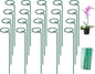 FEED GARDEN 16 Inch 20 Pack Plant Support Stakes, Metal Garden Flower Stakes and Supports for Outdoor Plants, Plant Stem Support with 40 Twist Ties for Amaryllis Lily Rose Peony Tomatoes Gladiolus