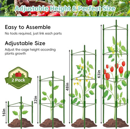 Riare 2 Pack 4 FT Tomato Cages for Garden- 48inches Heavy Duty Garden Stakes, Adjustable Tall Tomato Plant Support Tomato Trellis Cage for Pots, Raised Garden Bed, Climbing Vegetables Plants Flowers
