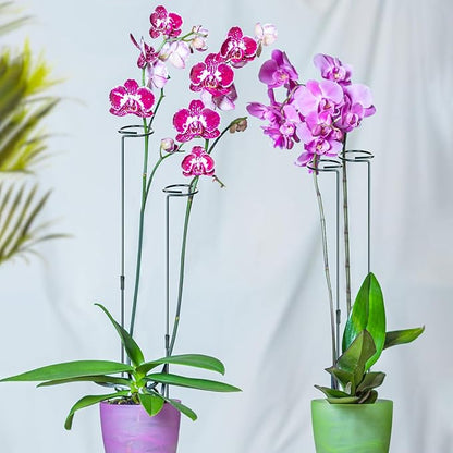 Mwellewm 3 Sets Plant Stakes 12/25/36 Inch Adjustable Plant Support Stakes Tall for Indoor Outdoor Plant Holder Stick Steel Garden Stem Pole Amaryllis Stakes with 15 Clip for Tomato Orchid Lily Flower