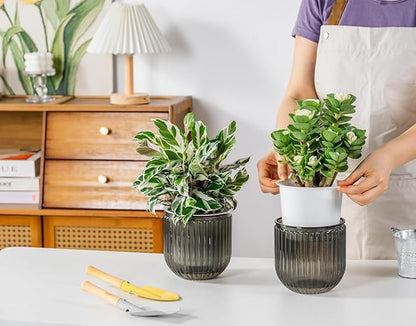 Melphoe Self Watering Pots for Indoor Plants Planter, 5.3 Inch 2 Pack Planters Self Watering Plant Pots for Flower, Houseplants, Succulent, African Violets and Cactus with Drainage