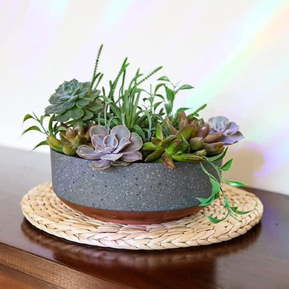 The HC Companies 8 Inch Round Plastic Succulent Capri Bowl 8"x8"x3" in Faux Concrete Color with Copper Band