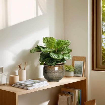 Self Watering Planters for Indoor Plants, 6 Inch Ceramic African Violet Pots with Absorbent Inner Pot, Ceramic Plant Pot, Round Flower Pots, Bathroom Decor, Housewarming Gifts, Yellowish Brown