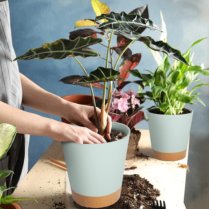 GARDIFE Plant Pots 7/6.5/6/5.5/5 Inch Self Watering Planters with Drainage Hole, Plastic Flower Pots, Nursery Planting Pot for All House Plants, African Violet, Flowers, and Cactus,Green
