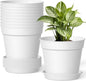 10 Pack 6 Inch Plant Pots with Drainage and Saucers, White Plastic Flower Pots for Indoor and Outdoor Plants, Stackable Nursery Planters for Houseplants and Herbs, White