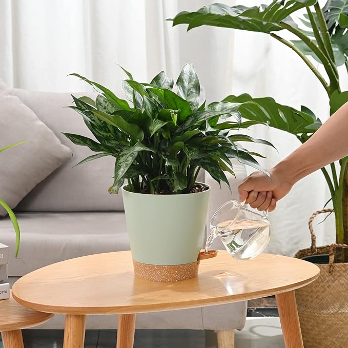 Plant Pots 6 PCS 5 inch Self Watering Planters High Drainage Flowers Pot for Indoor Outdoor Plants with Reservoir Tray and Watering Lip Gardening Planter Garden Flower Pots, Green