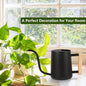 Plant Watering Can – Stainless Steel Indoor, 35oz Metal Watering Can
