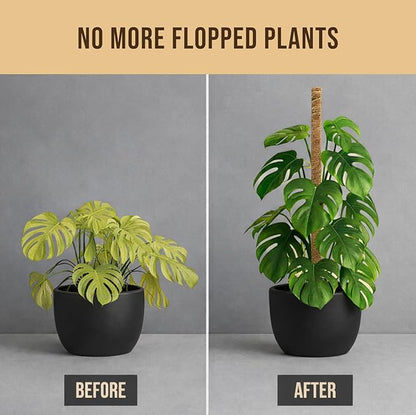 Moss Pole Monstera Plant Support – 48” Bendable Moss Pole Monstera Plant Support, Plant Stakes for Indoor Plants, Tall Plant Sticks Support for Climbing Plants