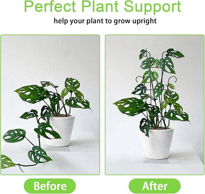 4P Plant Trellis for Potted Plants, Larger 23in Garden Trellis for Climbing Plants Indoor Outdoor, Rustproof House Plant Support Stakes for Pothos Hoya Ivy Flower