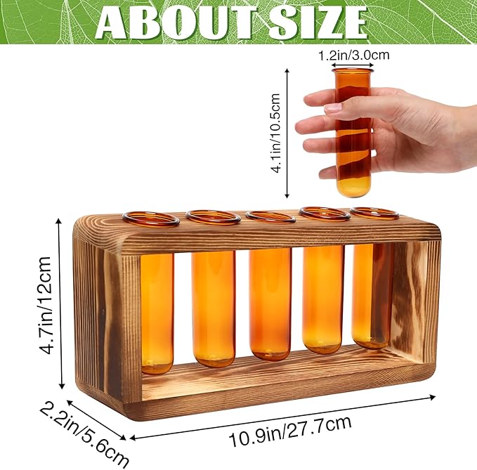 Terrarium Propagation Station with 5 Amber Glass Test Tubes and Pine Base