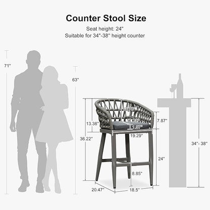 PURPLE LEAF Outdoor Rattan 24" Counter Height Bar Stools Chair Set of 2, Modern Patio Wicker Barstool with Backrest for Indoor and Outdoor, Kitchen Island, Smoke Grey