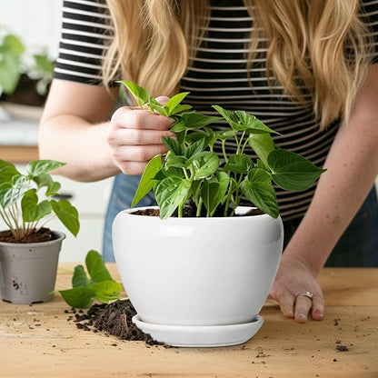 Ceramic Pot for Plants - 6 Inch Plant Pot for Succulent Plants, Glaze Modern Round Planter with Drainage Hole and Saucer, Gifts for Plant Lovers, Home Office Patio Room Decor, White