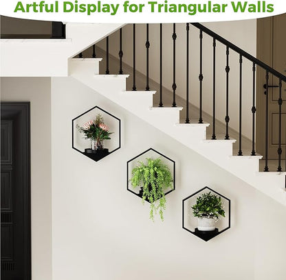 Wall Planters for Indoor Plants, Plant Frames Wall Decor Living Room Plant Stand Hanging Wall Plants Holder to Hold Large Pots Wall Plant Hanger Window Plant Shelves for Outdoor Entryway
