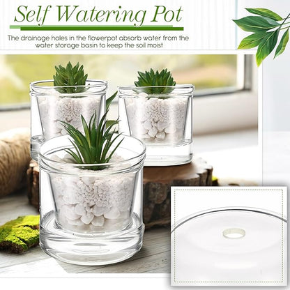 Baderke 2 Pcs 4 Inch Self Watering Pot for Indoor Plants Clear Glass Planter Small Plant Pot with Saucer Reservoir Drainage Holes Bottom Watering Pot for African Violet Orchid Flowers Houseplant