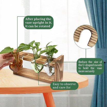 Terrarium Set: Heart Shaped Borosilicate Glass Vases with Wood Stand