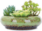 VanEnjoy 7.3 inch Round Large Shallow Succulent Ceramic Glazed Planter Pots with Drainage Hole, Bonsai Pots Garden Decorative Cactus Stand Flower Container (Green)