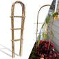 10 Pack 4ft U-Shape Bamboo Trellis for Climbing Plants, Natural Garden Trellis for Tomatoes, Cucumbers, Potted Plants, Vegetables Indoor Outdoor