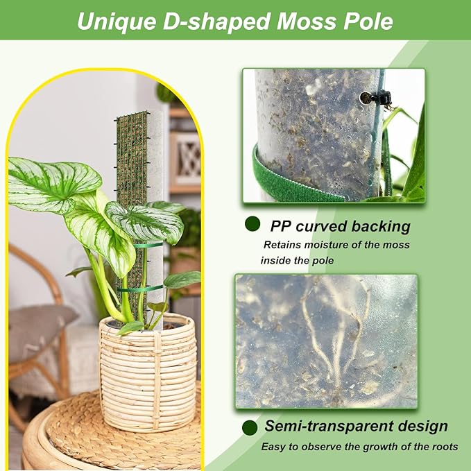 40" Metal Moss Pole, D Shape Sphagnum Moss Pole, Moss Poles for Climbing Plants, Monstera, Indoor Climbing Plants (2Pcs 40")