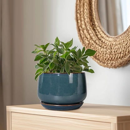 G EPGardening Ceramic Plant Pots - 9 Inch Round Modern Planter Indoor with Drainage and Tray for Indoor Outdoor Flower, Office Decor, Gardening Gifts, Retro Blue
