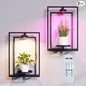 Shineled Wall Plant Holder, Indoor Plants Holders with Remote Grow Lights, Plant Shelves Hanging Planters, Framed Plants Holder for Living Room, 2 Pack