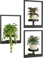 Bamworld Hanging Planters for Indoor Plants Wall Decor Living Room Plant Stand Indoor Wall Planters Plant Hanger Window Plant Shelves 3 Pack for Outdoor Entryway