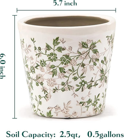 Ceramic Planter with Drainage Hole, Plastic Tray & Mesh, 6 Inch - Indoor/Outdoor Flower Pot for Orchids, Succulents, Green Floral Modern Farmhouse Décor for Home,Office and Garden, Ideal Gift