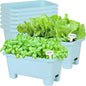Self-Watering Rectangle Planter Boxes 8-Pack, 15.7-Inch Window Box Planter with Drainage Holes & Trays, Pots for Vegetables, Herbs, Flowers, Garden Windowsill Balcony (Sky Blue)