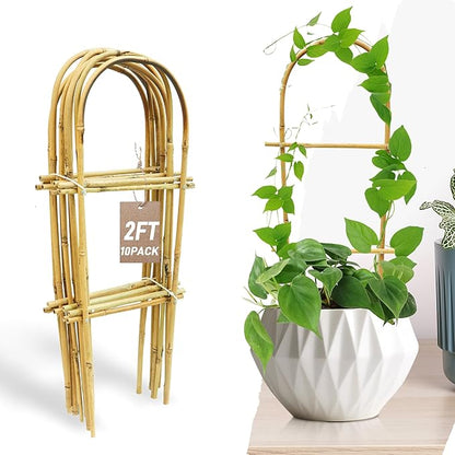 Avalution 10 Pack Bamboo U Trellis for Climbing Plants, 2ft Garden Ladder Trellis for Potted Plants Indoor, Ladder Small Plant Support Trellis for Houseplants Ivy Hoya Vine Monstera
