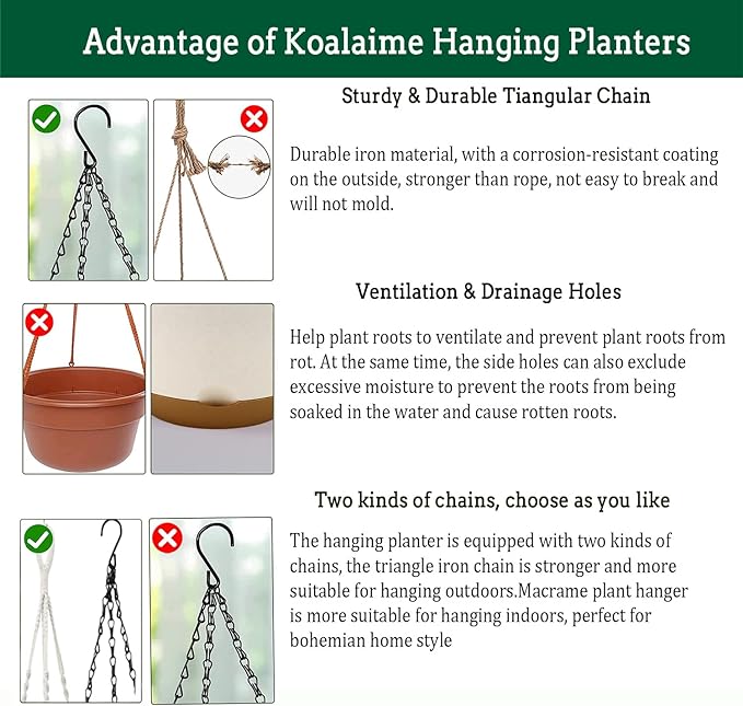 Hanging Planters for Indoor Plants, 2 Pack 10 Inch Self Watering Pots with Macrame Plant Hanger, Hanging Baskets Holder for Outdoor Garden Home Ceiling Window Decor