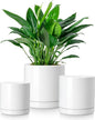 vancasso Ceramic Plant Pots, 3 Piece Planters for Indoor Plants, 4.25+5.25+6.25 Inch Flower Pots with Drainage, Plant Pots Indoor for Succulent, Pothos, Snake Plant and Money Tree, Etc (White)