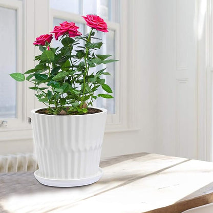 Plant Pots - 6.7 Inch Cylinder Ceramic Planters with Connected Saucer, Pots for Succuelnt and Little Snake Plants, Set of 2, White