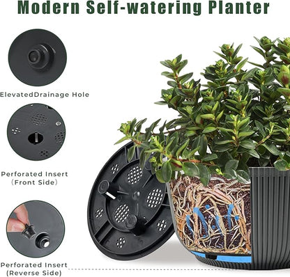T4U 8 Inch Plant Pots, 2 Pack Self Watering Planter with Drainage Hole, Shallow Plant Pot Indoor, Home Decor Flower Pots for Plants, Cactus, Garden, Gray
