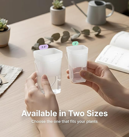 12 Pack 2" Mini Self Watering Pots for Indoor Plants,Small Clear Plastic Planters,Alocasia Corm Propagation,African Violet,Cutting,Seeding,Water Level Indicator,Drainage Hole,12 Plant Label