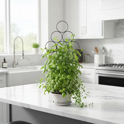 Plant Trellis for Climbing Plants Indoor Outdoor, Trlzey 3 Pack Stackable Metal Trellis - Small Garden Trellis for Potted Plants, Vine Support for Ivy, Flowers, DIY Home Deco