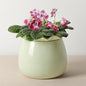 Self Watering Plant Pot, 6 Inch African Violet Pots Maintenance, Ceramic Self-Watering Planter for Indoor Plants - Ideal Flower Pot for Thriving Indoor Gardens, Green