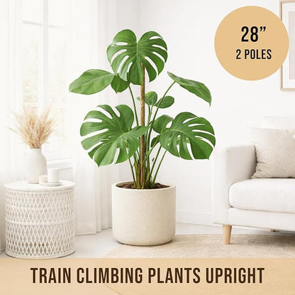 Moss Pole Monstera Plant Support – 2 Pack 28” Bendable Moss Pole Monstera Plant Support, Plant Stakes for Indoor Plants, Tall Plant Sticks Support for Climbing Plants