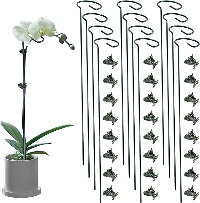 12 Pack Plant Support Stakes with 24 Pcs Plant Clips, Garden Single Stem Support Stake, Plant Cage Support Ring for Indoor Outdoor Flowers Rose Amaryllis Tomatoes Peony Lily Orchid (24 Inch)