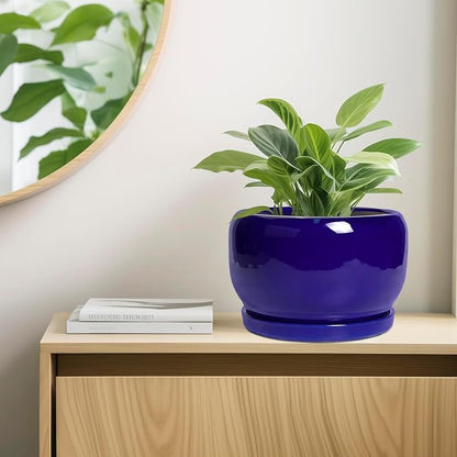 SQOWL Ceramic Plant Pot - 10 Inch Ceramic Planter for Indoor Outdoor, Round Flower Pot with Drainage Hole and Saucer, Modern Decorative Large Planter, Garden Decor, Plant Lover Gifts, Blue