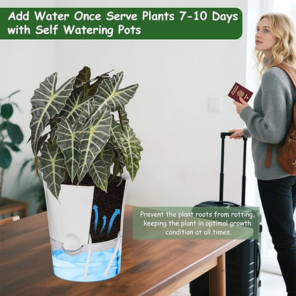 KIMCHOMERSE Self Watering Plant Pots, 6 Inch Orchid Pots, 3 Pack Flowers Pot Indoor Planter Pots with Tray for Spider Plant, Orchid, African Violet -White