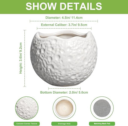 4 inch Plant Pots - Ceramic Pots for Plants with Drainage Hole, Small Planter for Indoor Outdoor, Unique Succulent Pot, Decorative Modern Round Planter, Desk Decor, Plant Lover Gifts, White
